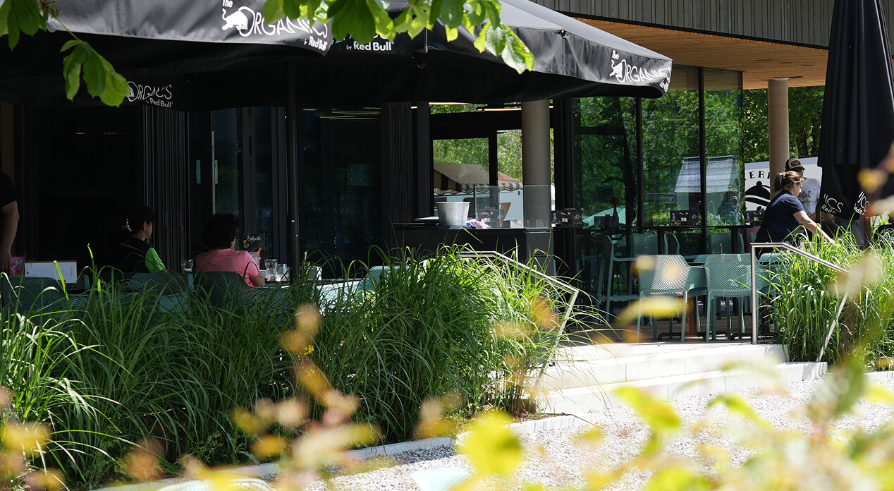 Menschen in einem grünen Outdoor-Café mit Pflanzen.